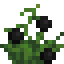 NoctaliteStage3
